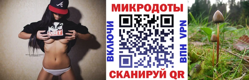 где купить   Курчатов  Галлюциногенные грибы мухоморы 