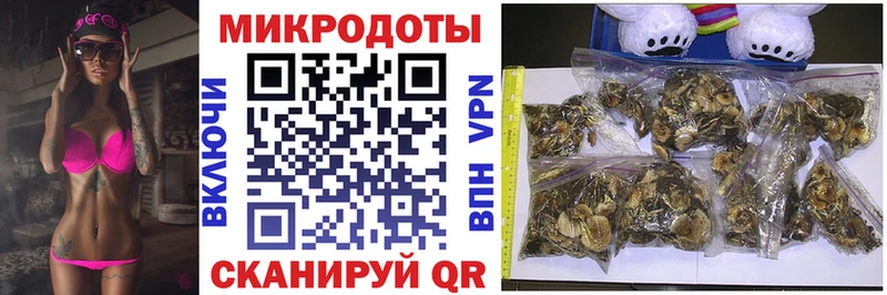 Галлюциногенные грибы мицелий Курчатов